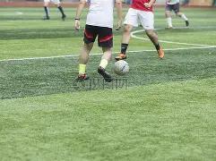 摩通遭加密,社群抵制,指数剔除引,LEYU,Sports,乐鱼体育,体育直播,体育赛事,APP下载,官方网地址