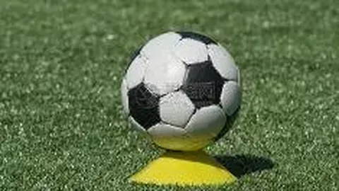 乐鱼体育 产品 103022 ulm