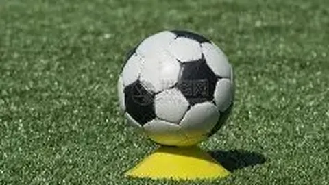 乐鱼体育 资讯 121751 atz