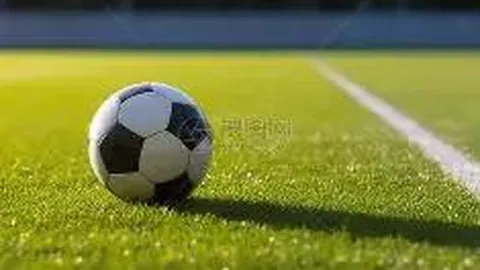 乐鱼体育 产品 122610 wqr